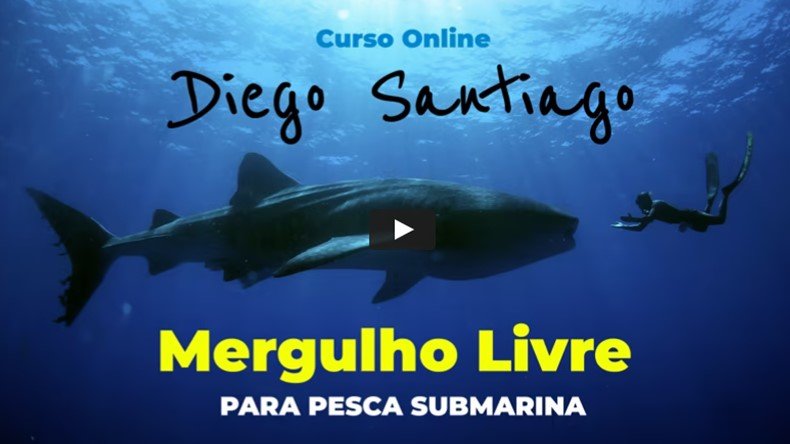 Mergulho Livre para Pesca Submarina Funciona? Mergulho Livre para Pesca Submarina Dá Resultado?