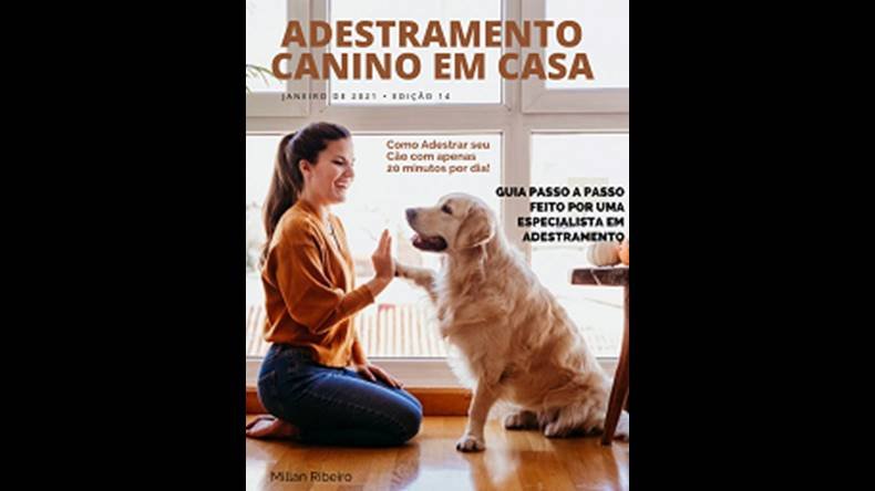 Adestramento Canino em Casa Funciona? Adestramento Canino em Casa Dá Resultado?