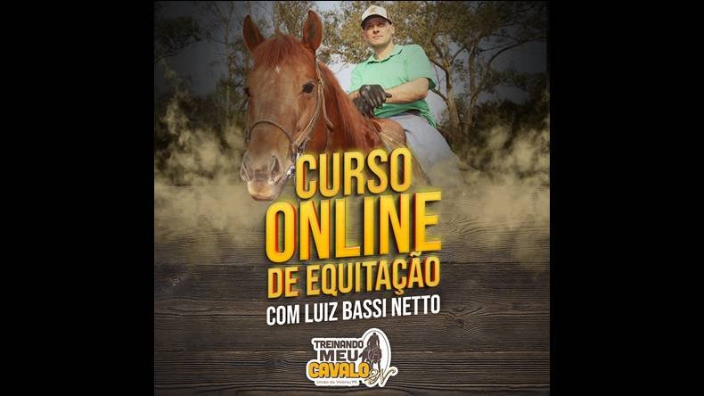 Treinando meu Cavalo Funciona? Treinando meu Cavalo Dá Resultado?