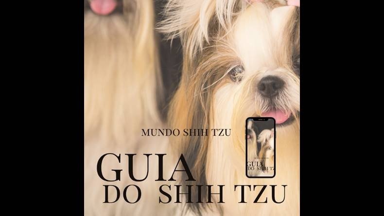 Mundo Shih-Tzu Funciona? Mundo Shih-Tzu Dá Resultado?