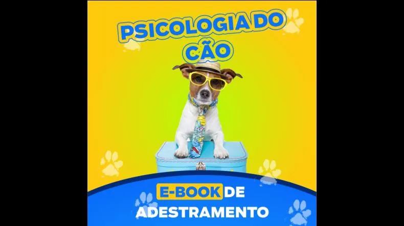 Psicologia Do Cão Funciona? Psicologia Do Cão Dá Resultado?