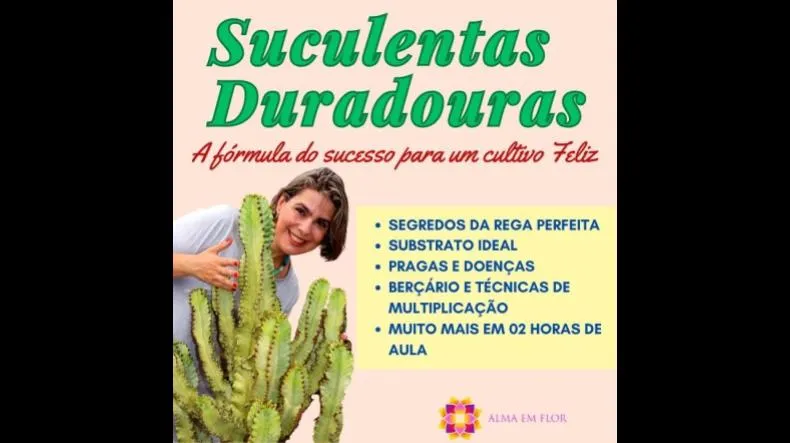 Curso Suculentas Duradouras de Grazi Bittencourt é bom mesmo?